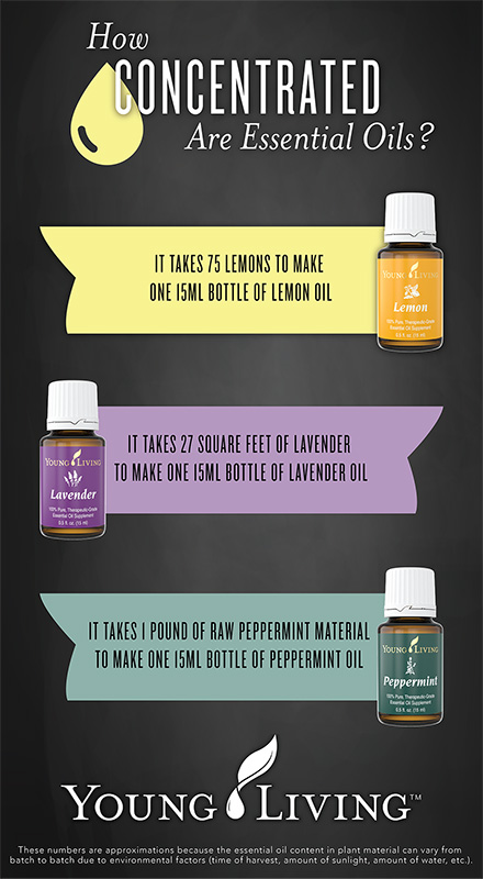 yl-infographic-sm Why every Home, Workplace, and GYM should have a diffuser going!